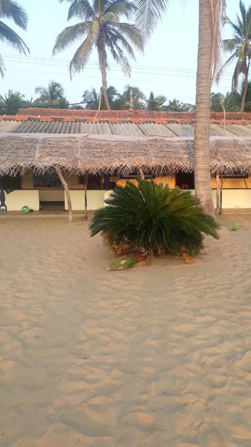 Dolphinchilling Hotel Alankuda Exterior foto