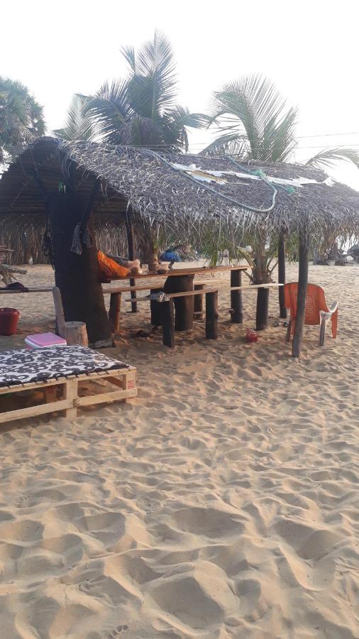 Dolphinchilling Hotel Alankuda Exterior foto