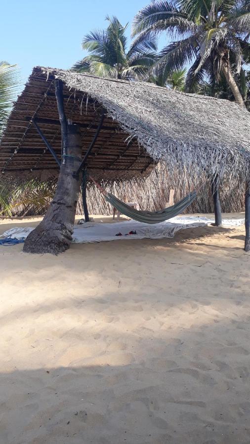Dolphinchilling Hotel Alankuda Exterior foto